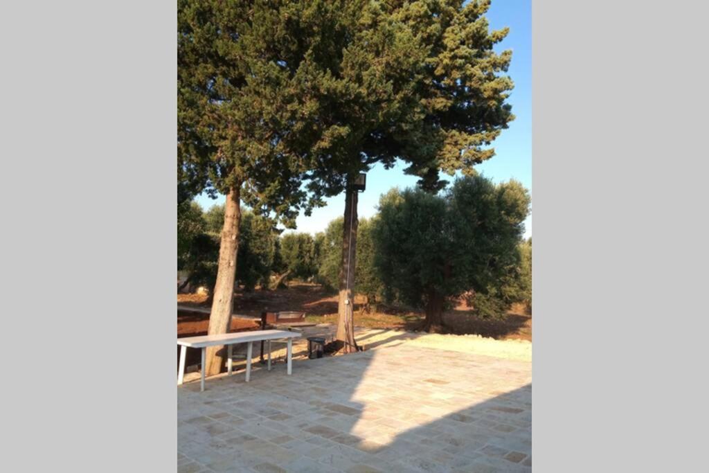 Villa Castelli Trulli Monteforte מראה חיצוני תמונה